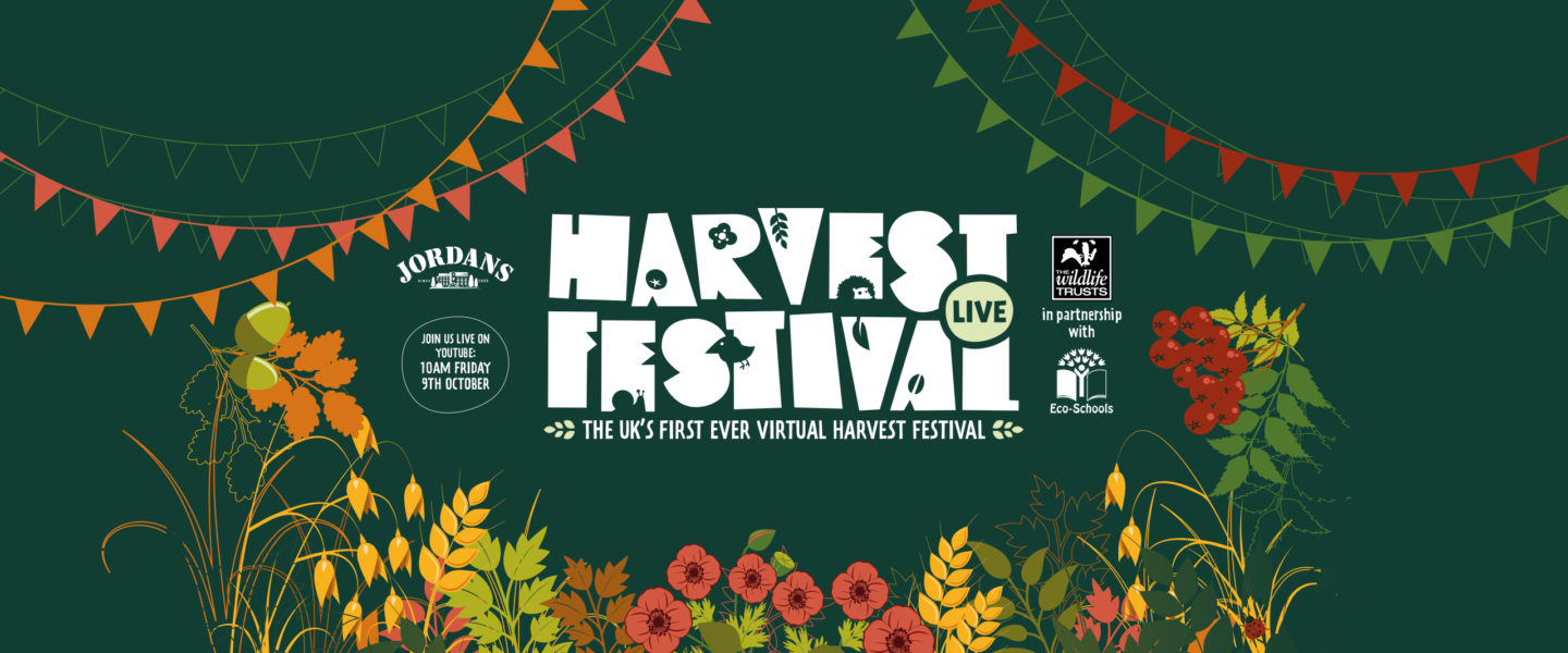 Harvest Festival LIVE Eco Schools